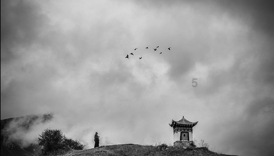 逃离别墅度假村